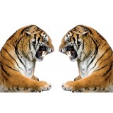 sticker autocollant décoration Tigres 125 x 75 cm.