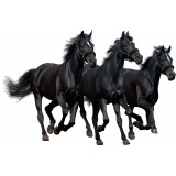Sticker autocollant Animaux trois chevaux noirs 100 x 150 cm.