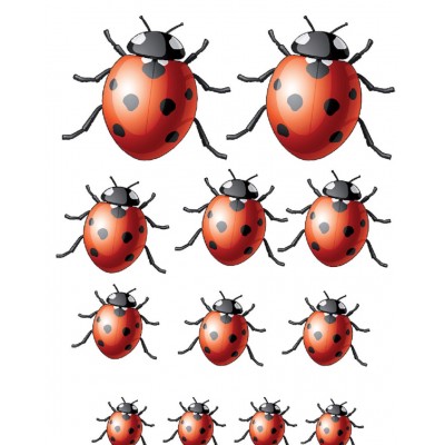 Stickers autocollant insectes 12 coccinelles