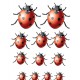 Stickers autocollant décoration insectes 12 coccinelles.