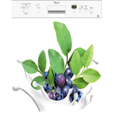 Sticker lave vaisselle décoration fruits 60 x 60 cm.