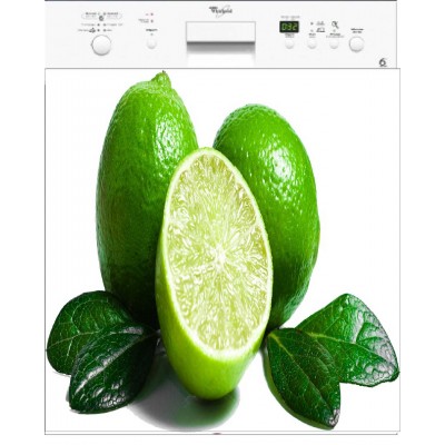 Sticker lave vaisselle Citron vert 60x60 cm.