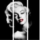 Sticker lave vaisselle Marilyn 60x60 cm.