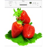 Stickers lave vaisselle Fraises 60x60 cm.