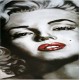 Sticker lave vaisselle Marilyn 60x60 cm.