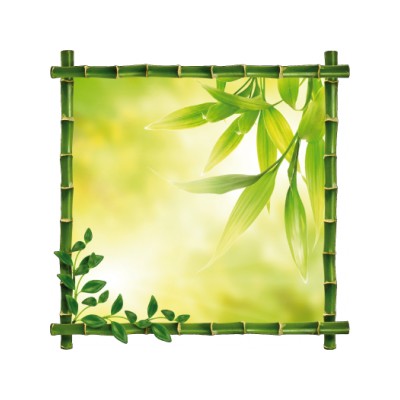 Sticker autocollant cadre bambou 100x100 cm