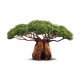 Sticker autocollant baobab 80x130 cm