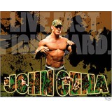 Sticker catch John Gena 36x28cm