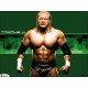 Sticker catcheur Triple H fond vert