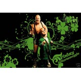 Sticker catch Finlay et Hornswoggle 37x27cm