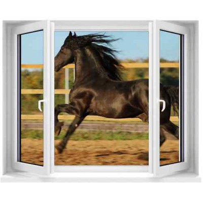 Sticker trompe l’œil fenêtre déco cheval 3