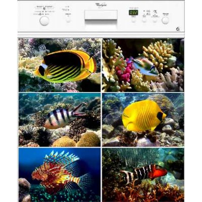 Sticker autocollant lave vaisselle poissons de la mer