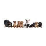 Sticker Animaux chiens 25x110 cm
