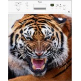 Sticker déco lave vaisselle Tête de Tigre réf 0300 60x 60 cm 