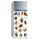 Sticker frigidaire décoration poissons 60x90 cm. 