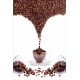 Sticker Frigidaire déco saveur grain de café  60x90 cm. 