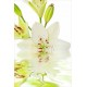 Sticker Frigidaire décoration fleurs de Lys 60x90 cm.