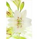 Sticker Frigidaire décoration fleurs de Lys 60x90 cm.