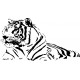 Sticker animal tigre réf 2569 130x235 cm 