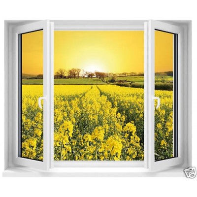 Sticker trompe l'oeil fenêtre fleurs jaunes 