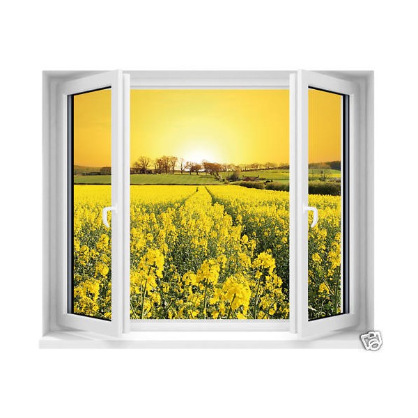 Sticker trompe l'oeil fenêtre fleurs jaunes 