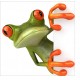 Sticker autocollant pour lave vaisselle décoration grenouille 60 x 60 cm. 