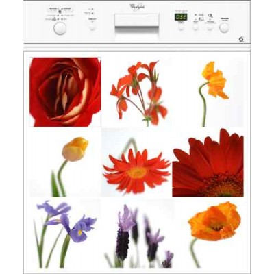 Sticker autocollant pour lave vaisselle décoration Fleurs 60 x 60 cm. 