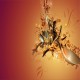 Sticker autocollant pour lave vaisselle décoration finesse 60 x 60 cm.