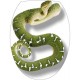 Sticker abattant wc serpent