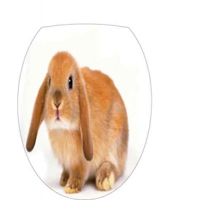 Sticker abattant wc lapin