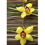 Sticker Géant panoramique Orchidée réf G01 125x180 cm 