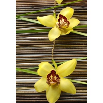 Sticker Géant panoramique Orchidée jaune 120x172cm.