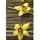 Sticker Géant panoramique Orchidée réf G01 125x180 cm 