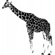 Sticker animal girafe réf 2255 191x174 cm 