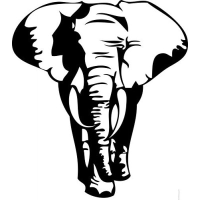 Sticker déco éléphant 128x113 cm 