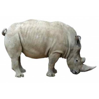 Sticker décoration rhinocéros 80x130 cm