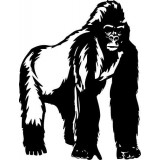 Stickers animaux Gorille 77x100 cm 