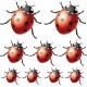 Stickers Animaux Coccinelles 