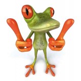 Stickers Animaux  Grenouille attention !!! 27x25 cm 