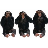 Stickers autocollant 3 chimpanzés 68x110 cm
