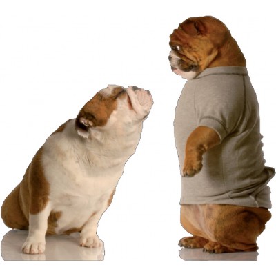 Stickers autocollant Chiens amoureux 67x60 cm