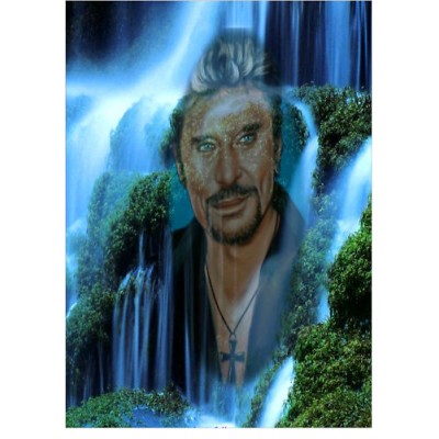 Stickers Johnny Halliday toile