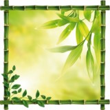 Sticker cadre bambou